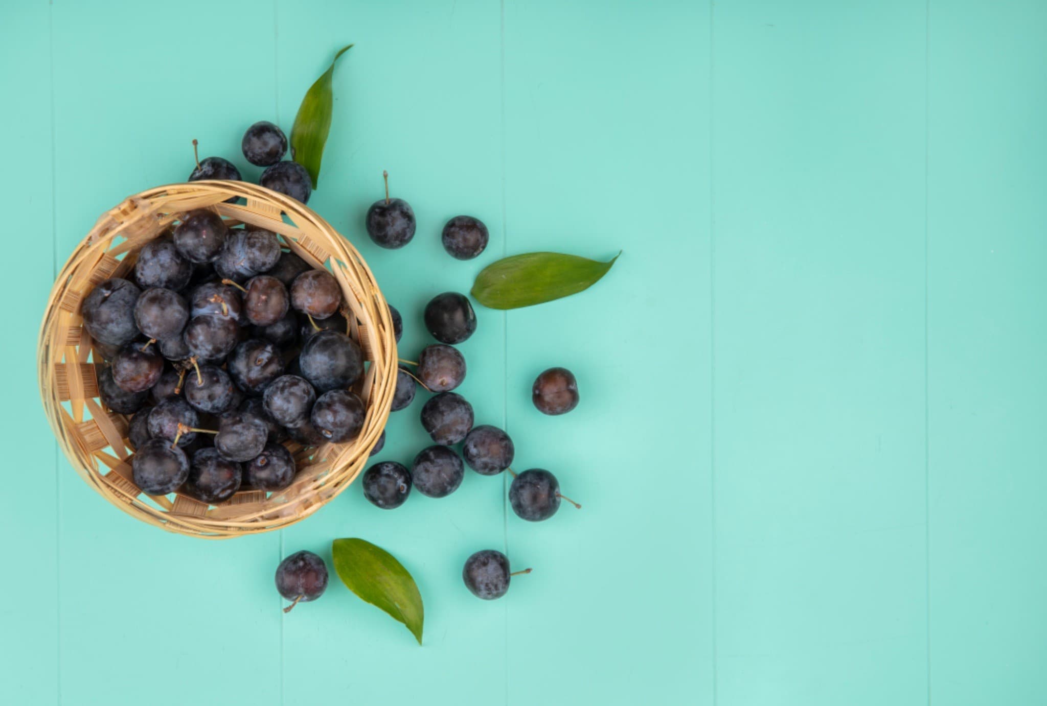 O que a terra tem a dizer: como o bioma influencia o sabor dos alimentos